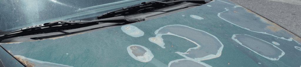 Peeling Car Clear Coat: Causes and How to Fix It - In The Garage with